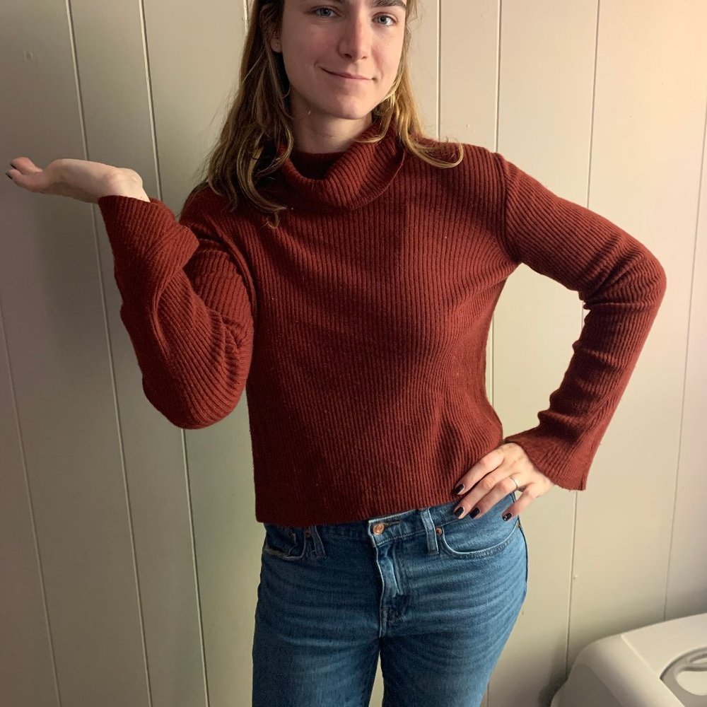 Madewell Rust turtleneck